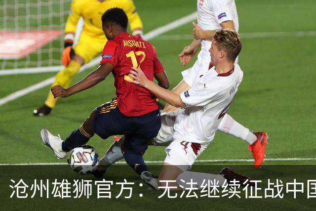 沧州雄狮官方：无法继续征战中国足球职业联赛